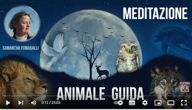 Previsioni e considerazioni